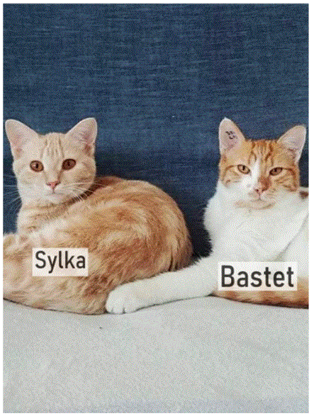 Sylka et Bastet