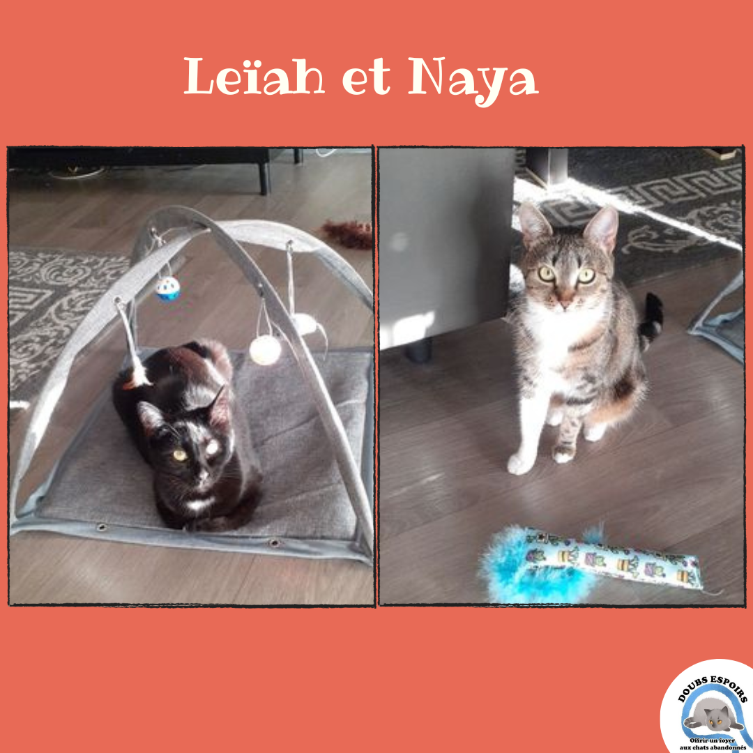 Leiah et Naya