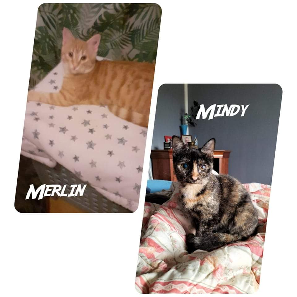 Mindy et Merlin