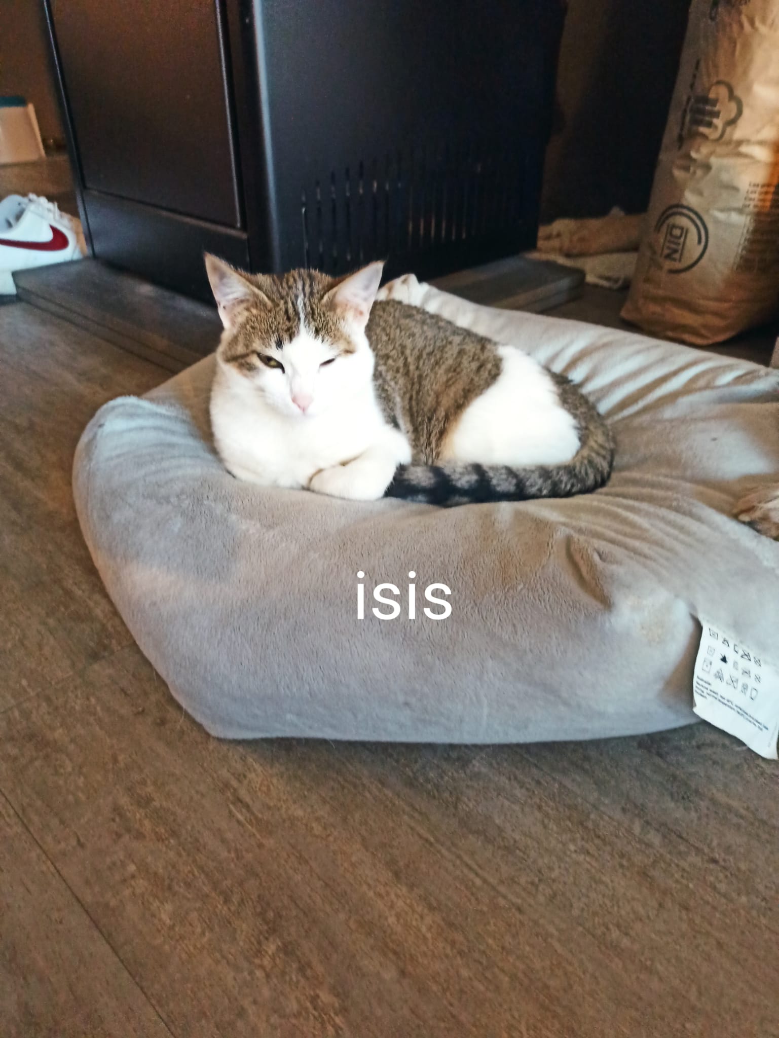 Isis et pistache