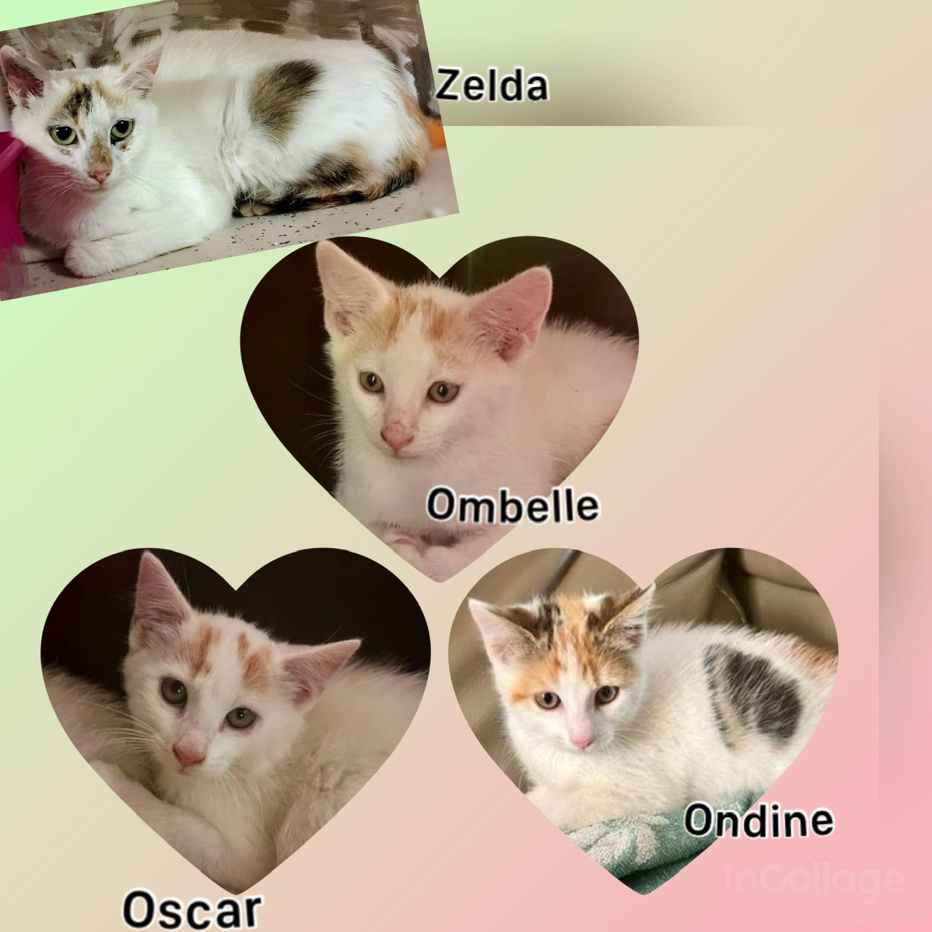 Ombelle, Ondine, Oscar et Zelda