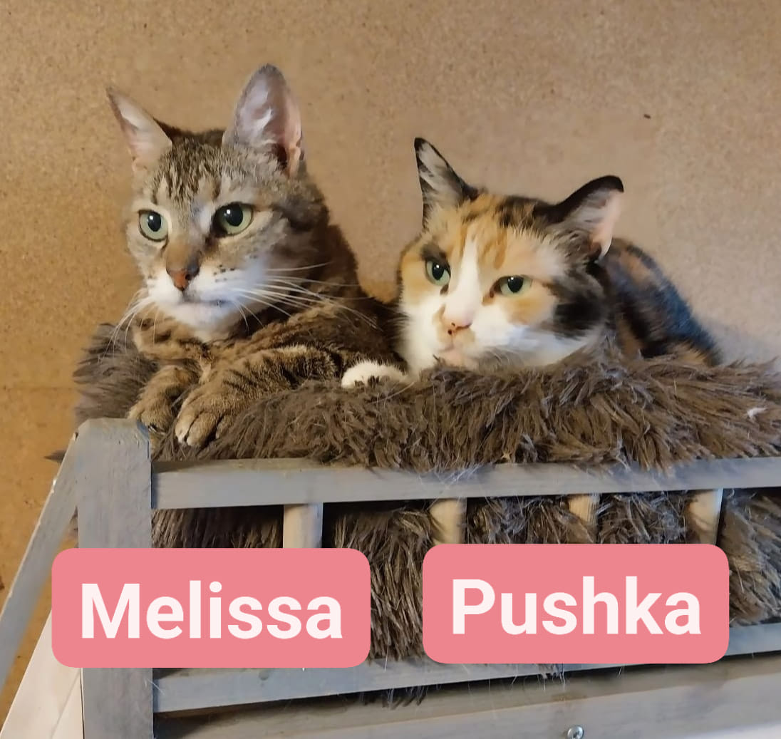 Melissa et Pushka