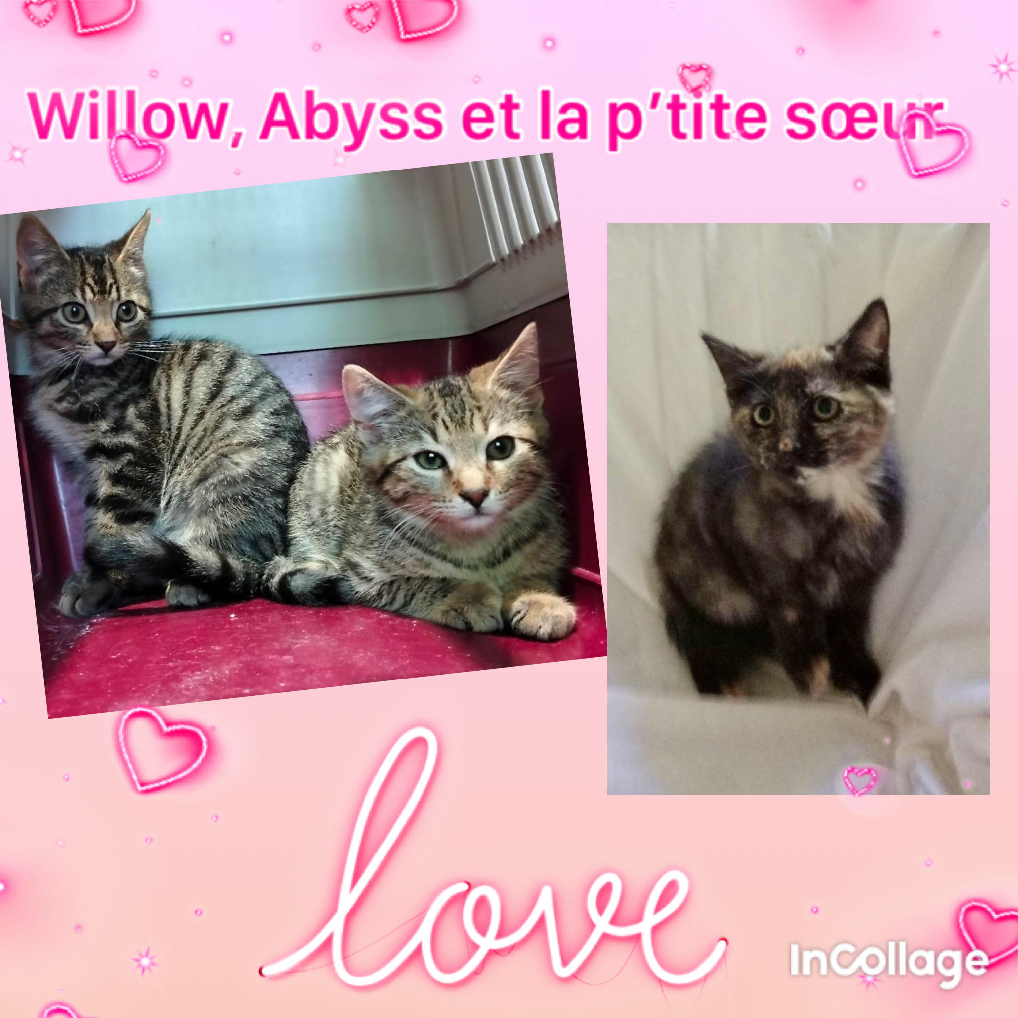 Abyss, Willow et leur petite soeur
