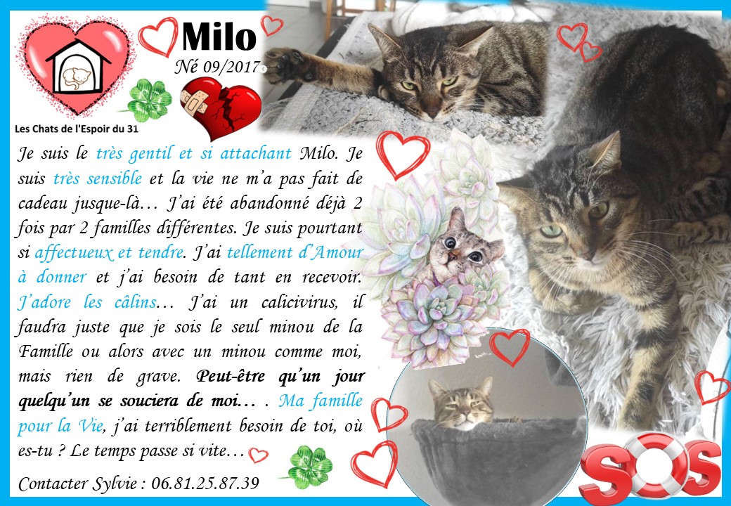 Milo ❤️ SOS