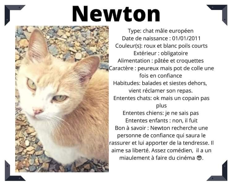 Newton SOS