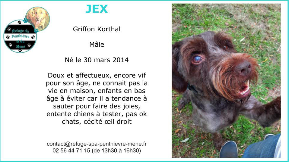 JEXx - korthal 9 ans -   Refuge du Penthievre à Brehand (22) 65394bbaae32a371237230
