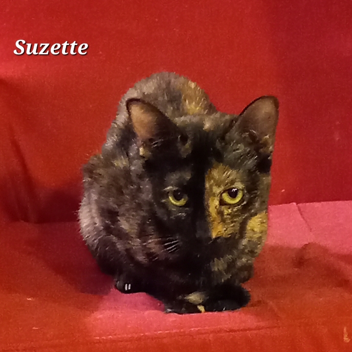 Suzette et Suzon