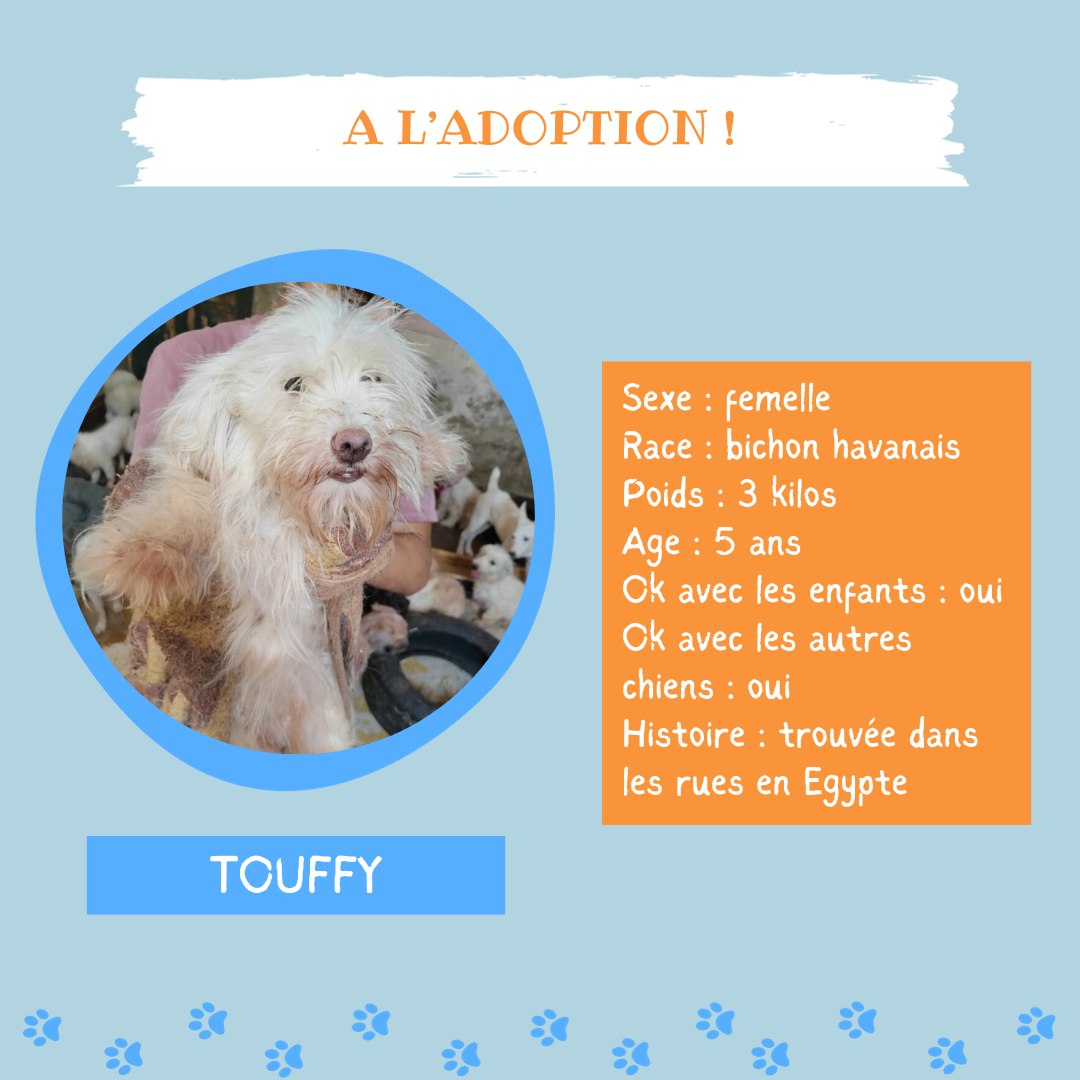 Touffy