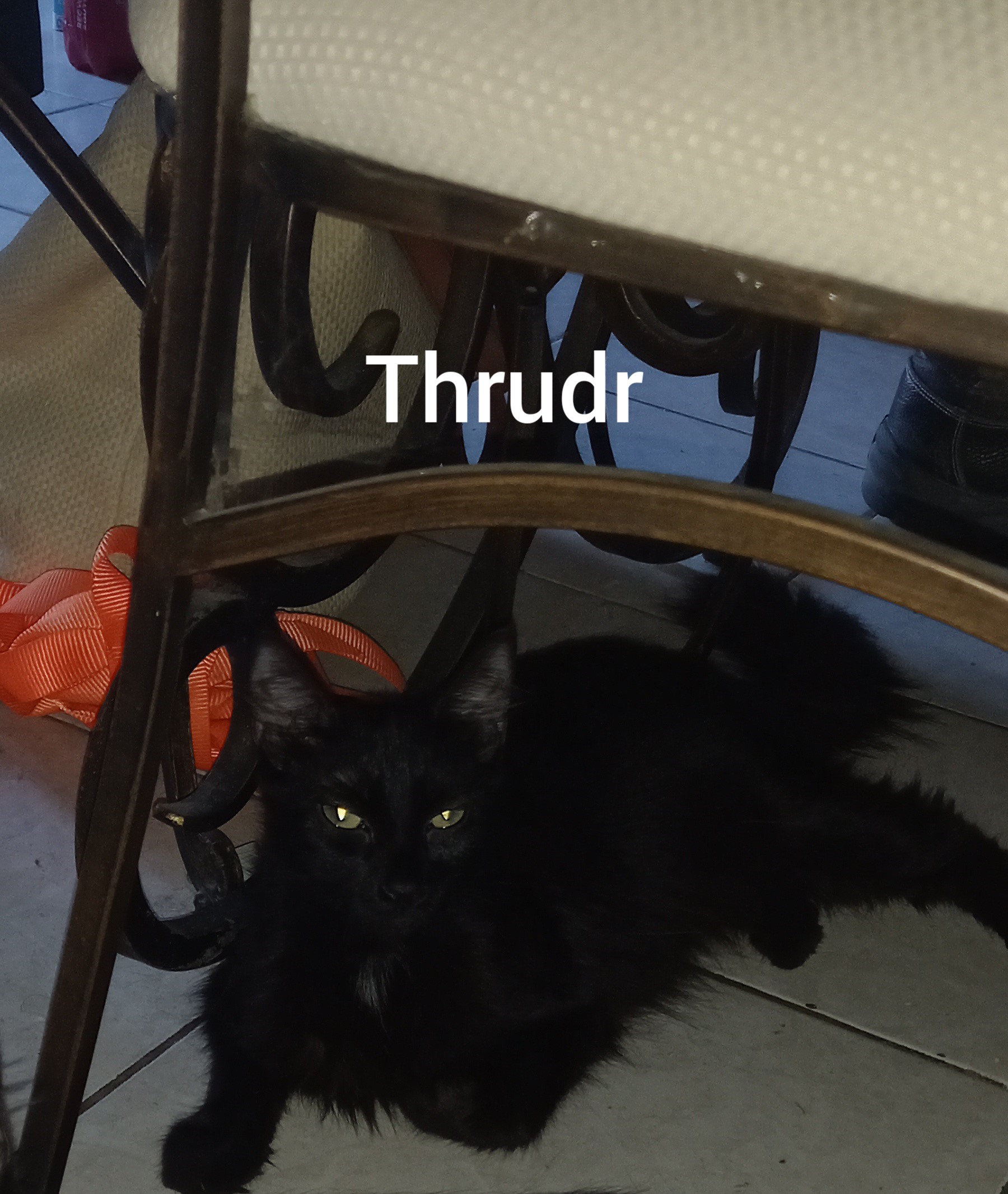 Thrudr