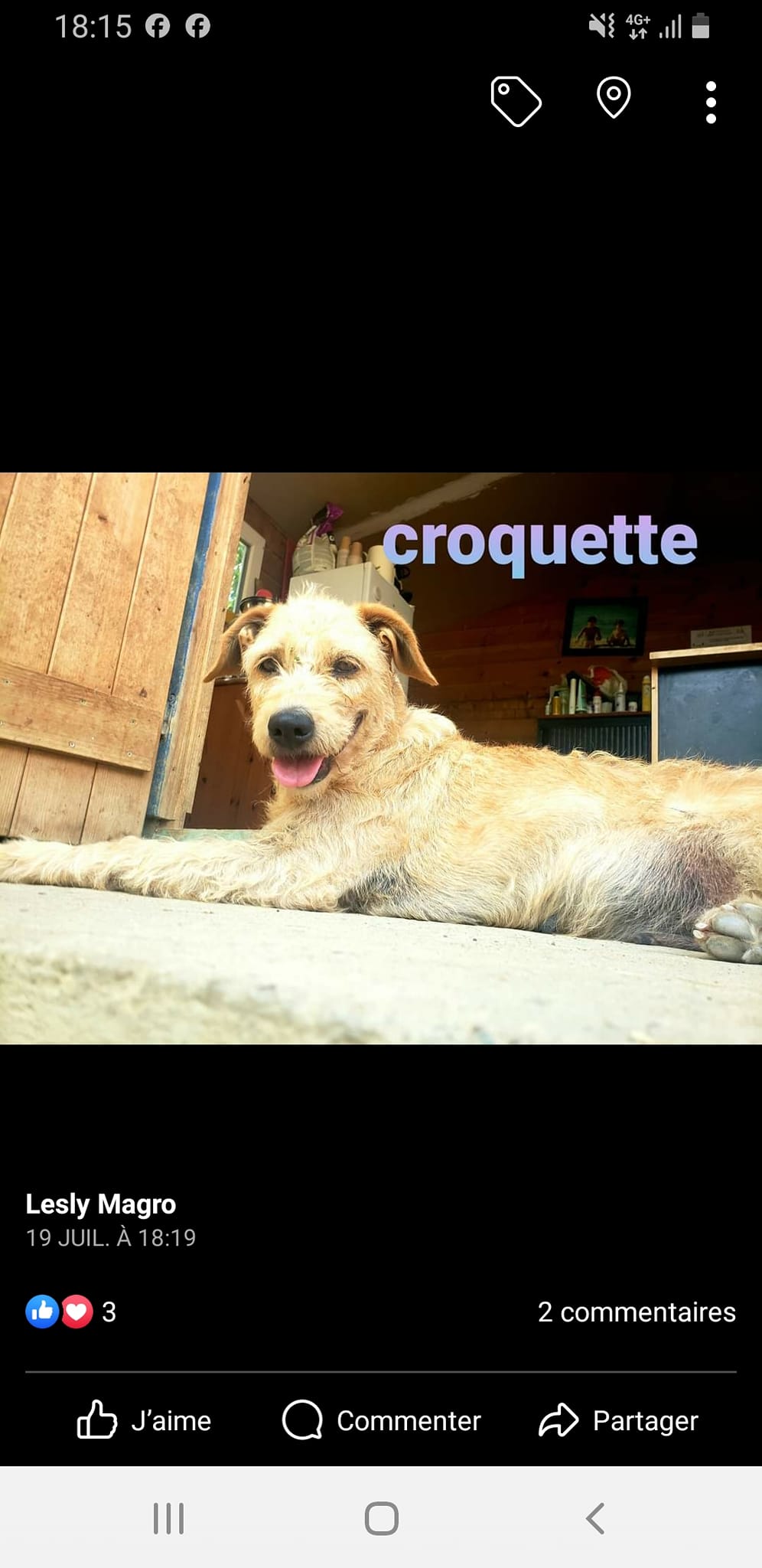 croquette
