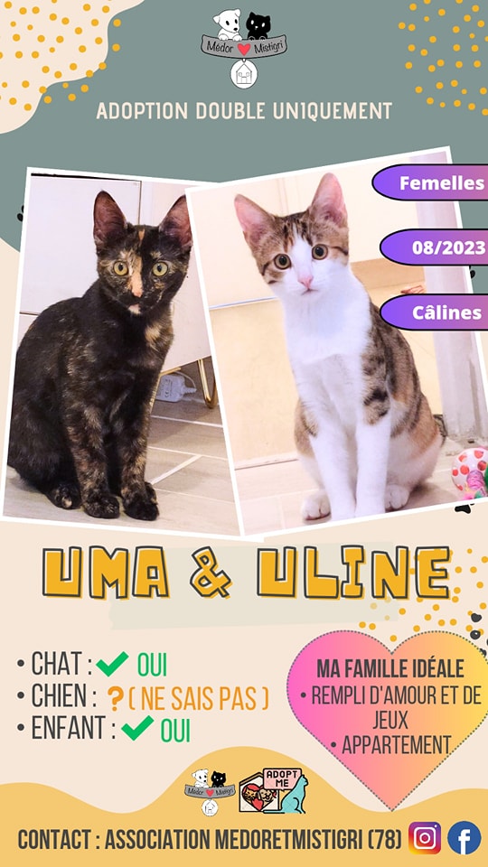 UMA et ULLINE
