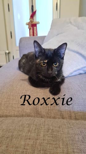 Roxxie