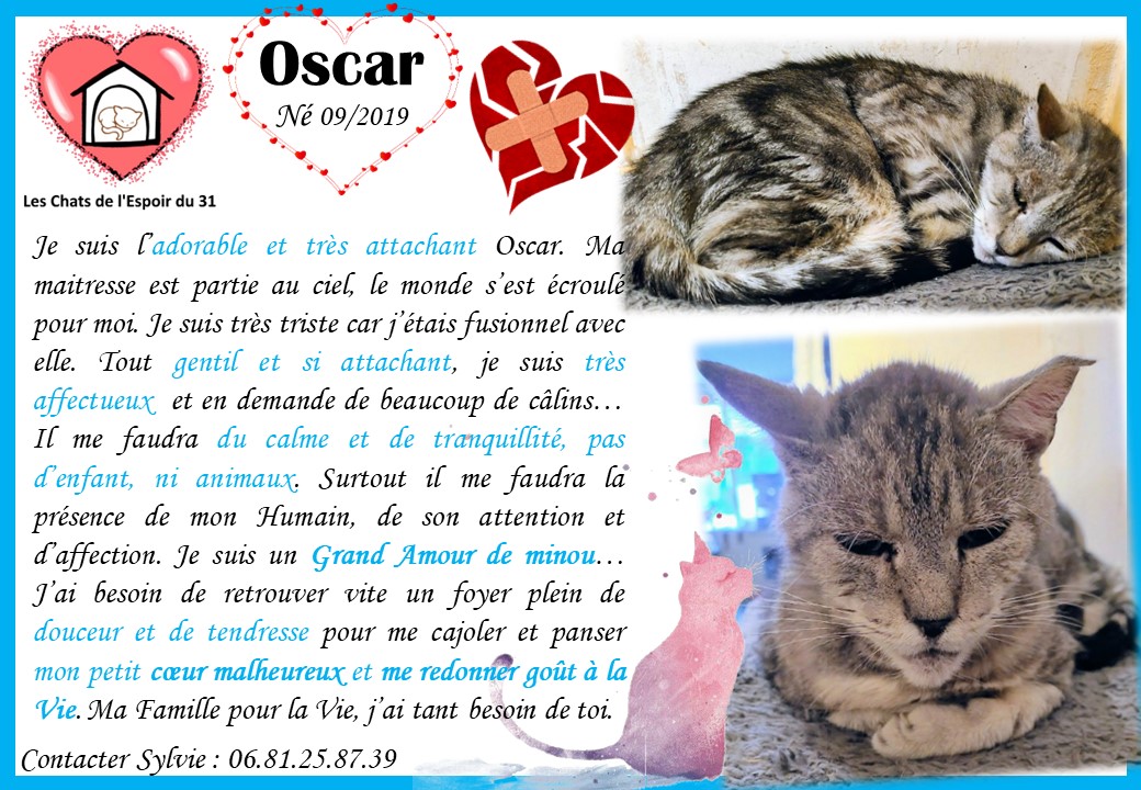 Oscar ❤️ SOS