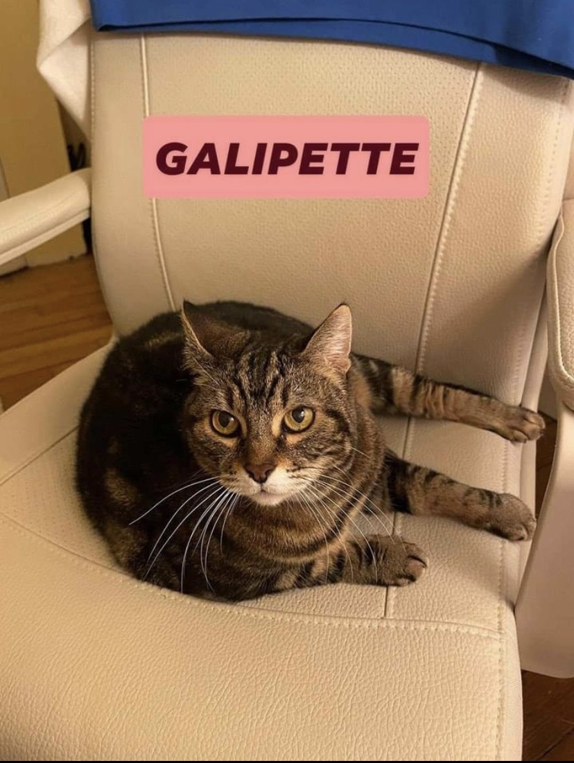 GALIPETTE