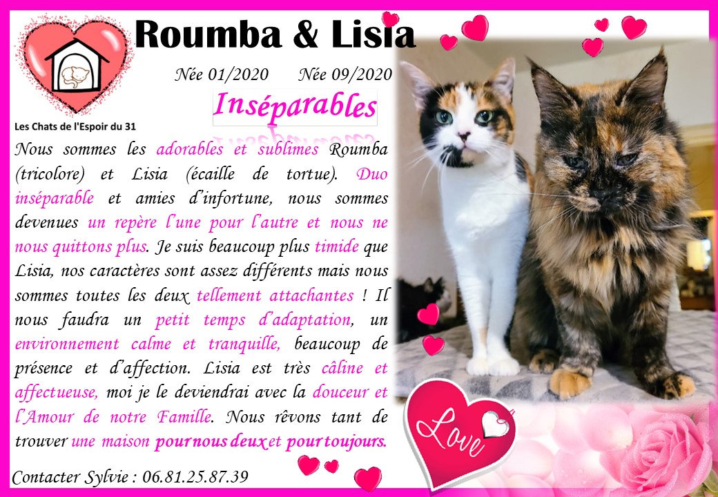 Lisia & Roumba ❤️ inséparables