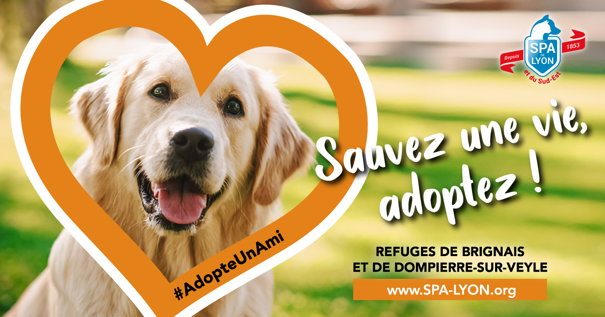 La SPA de Lyon en campagne pour l'adoption