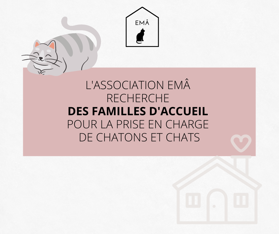 Recherche Familles d'Accueil (93 et 95)