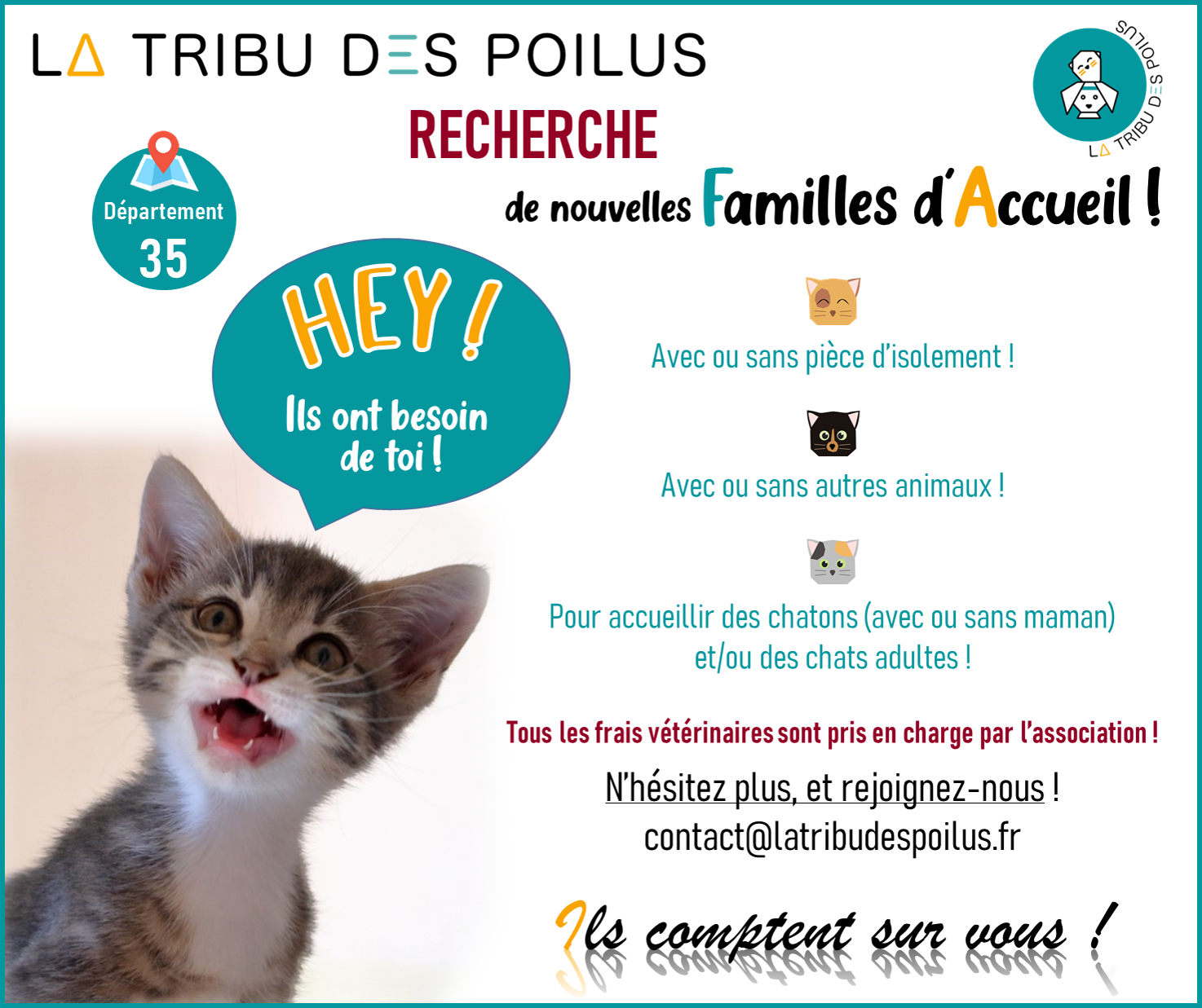 La Tribu des Poilus cherche des familles d'accueils chats !