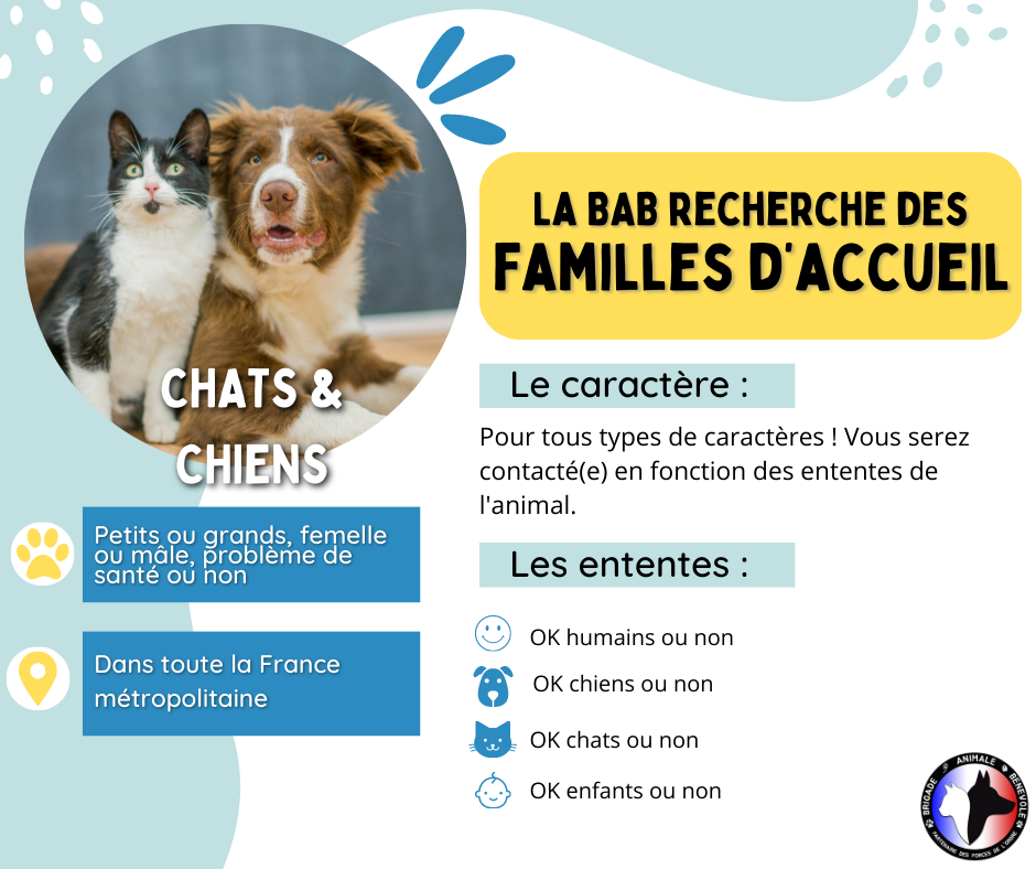 Recherche familles d'accueil dans toute la France
