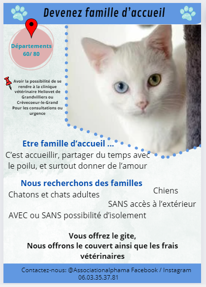 Recherche familles d'accueil chatons, chats, chien (Oise/Somme)