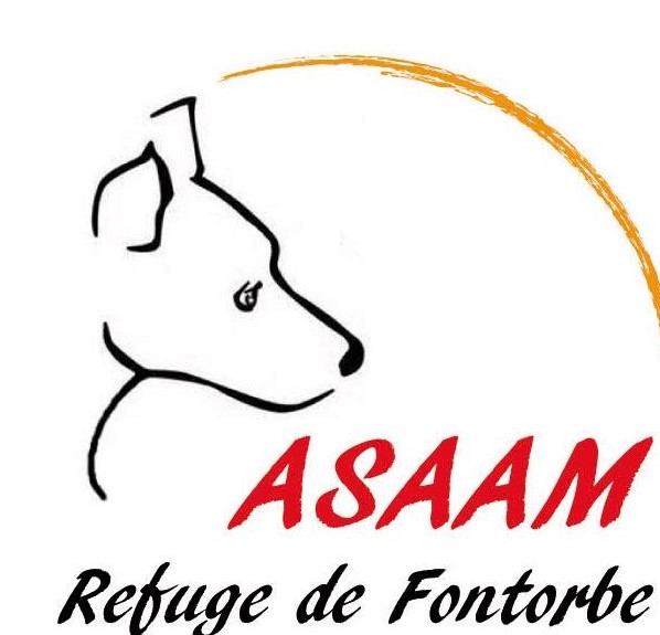 ASAAM Association pour la Sauvegarde des Animaux Abandonnés et Maltraités