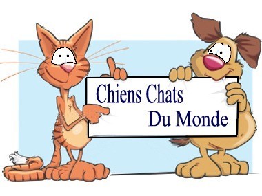 Chiens Chats Du Monde