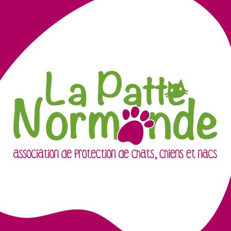 Patte Normande
