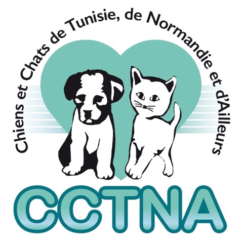 Chiens et Chats de Tunisie, de Normandie et d'Ailleurs (CCTNA)