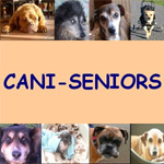 Cani-Seniors