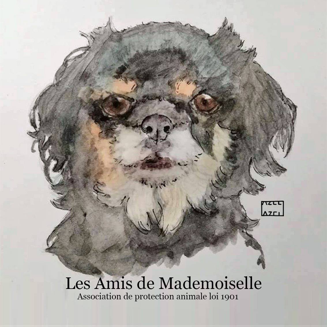 Les Amis de Mademoiselle (LADM)