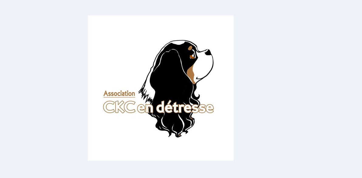 CKC en Détresse
