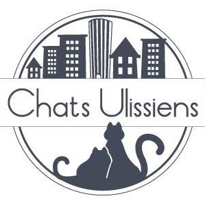 Chats ulissiens 