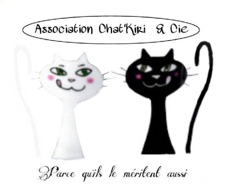 ASSOCIATION CHAT'KIRI & CIE
