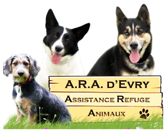 A.R.A. (Assistance Refuge Animaux)