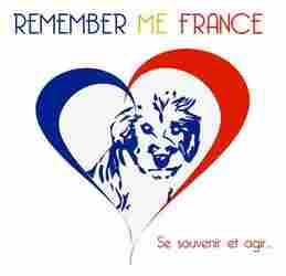 Remember Me France