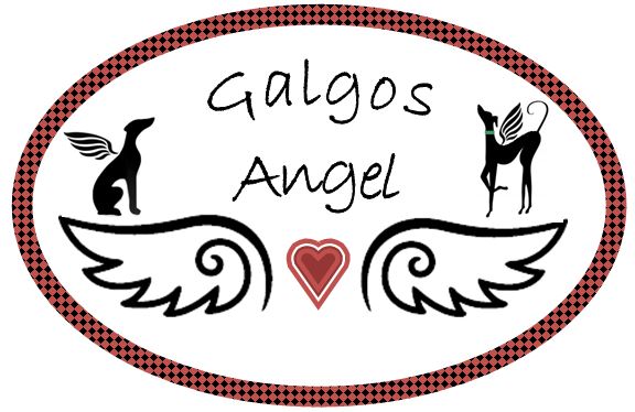 GALGOS ANGEL