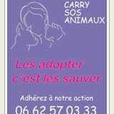 Carry SOS Animaux