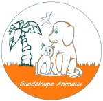 Guadeloupe Animaux