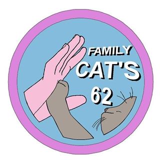 Family cat's 62