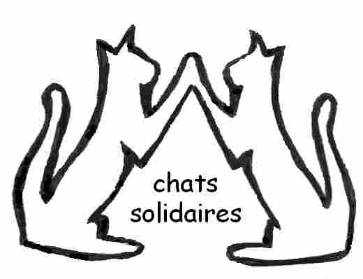 Chats solidaires