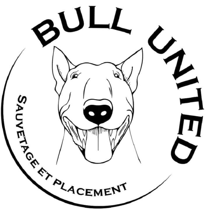 Bull United