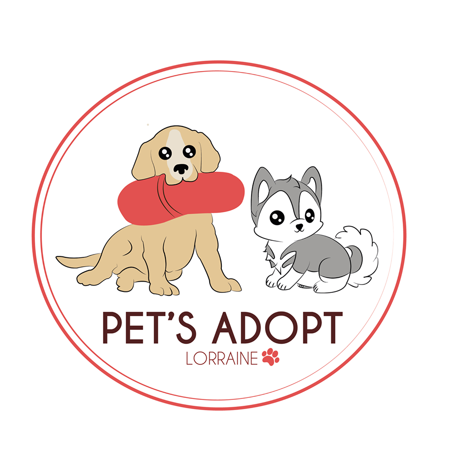 Pet's Adopt