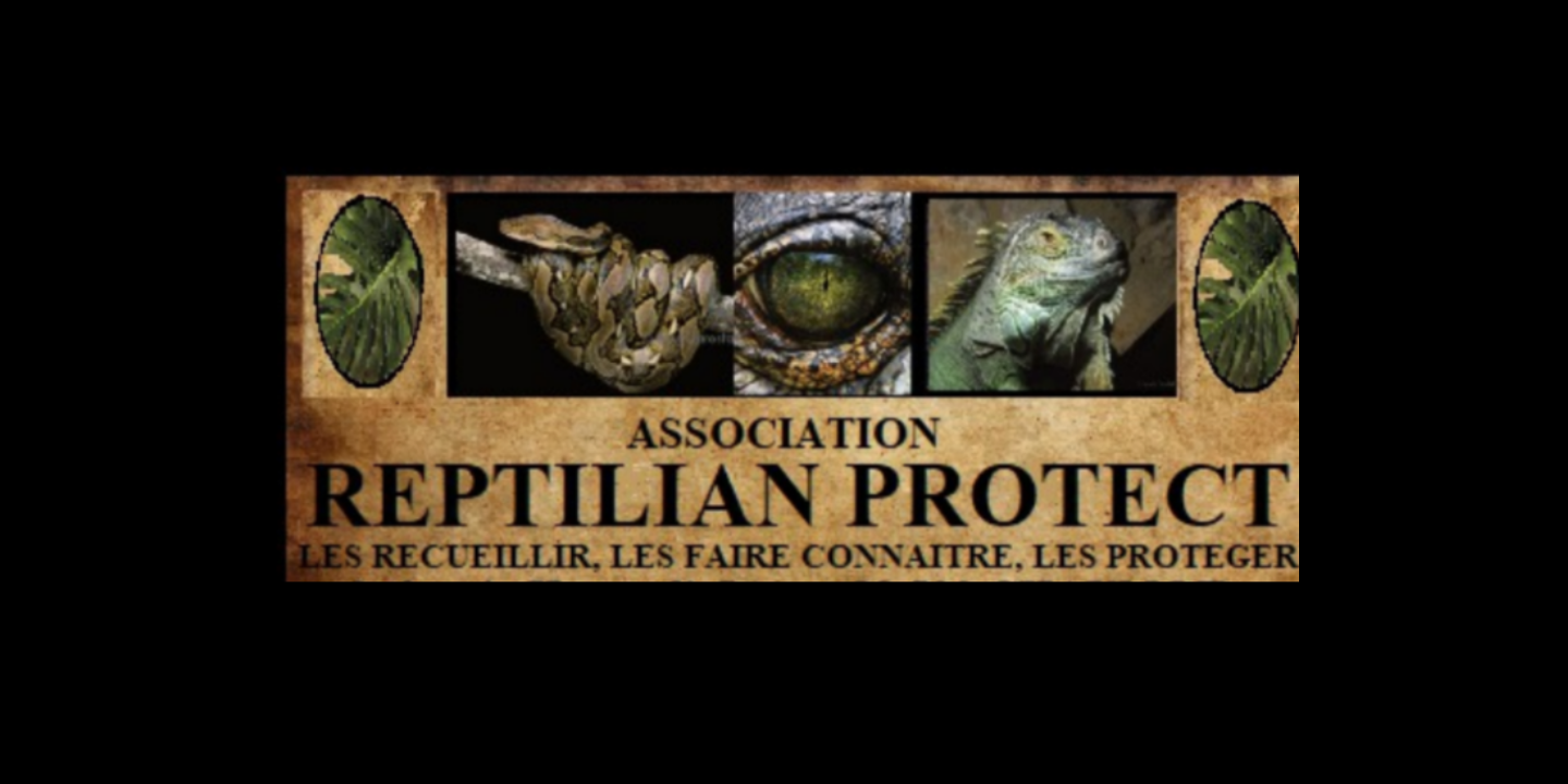 A.A. Reptilian Protect