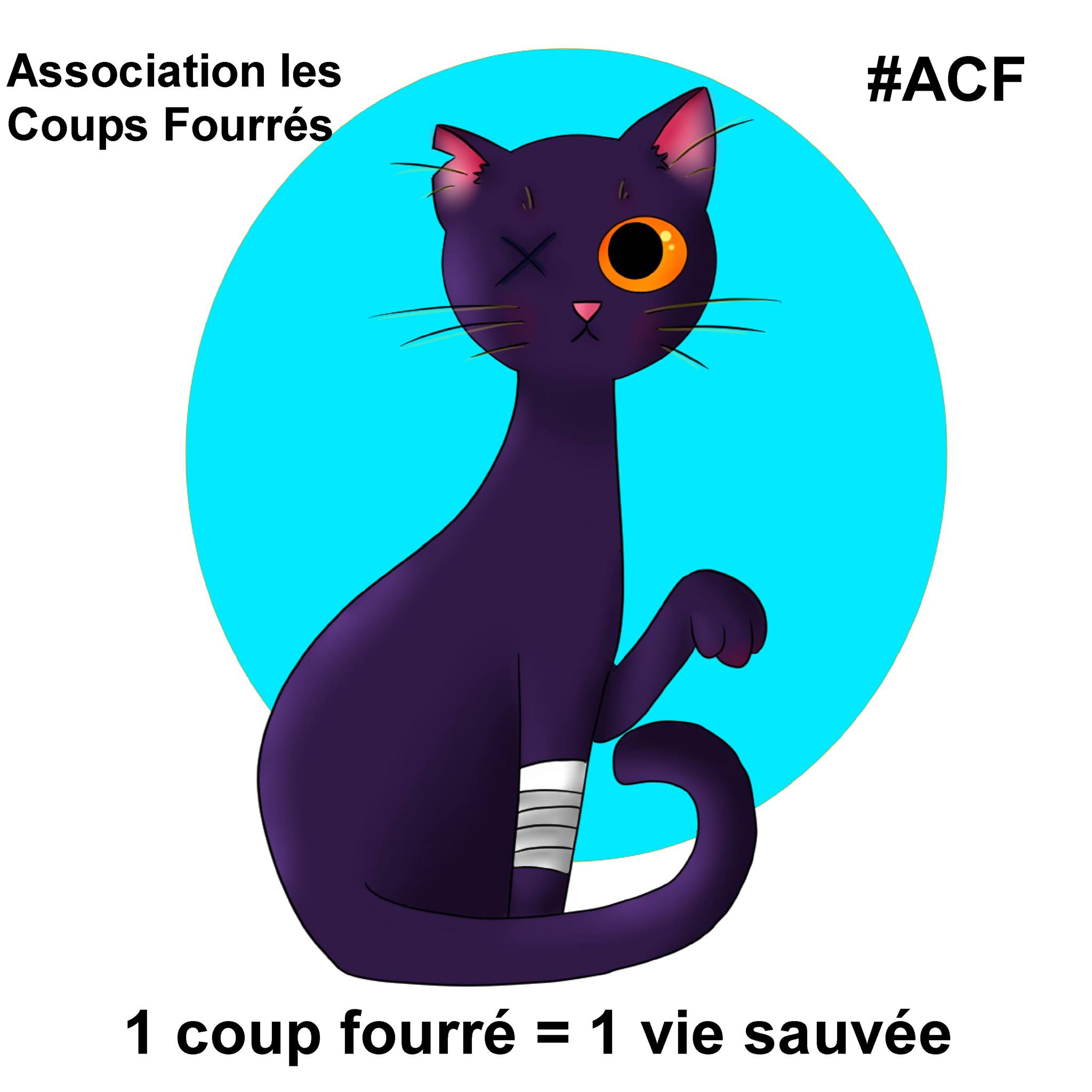 Association Les Coups Fourrés #ACF
