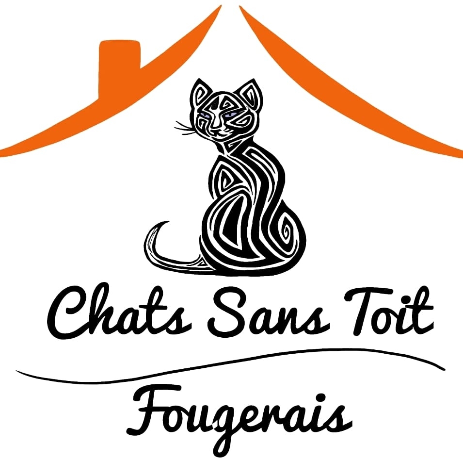 Chats Sans Toit Fougerais