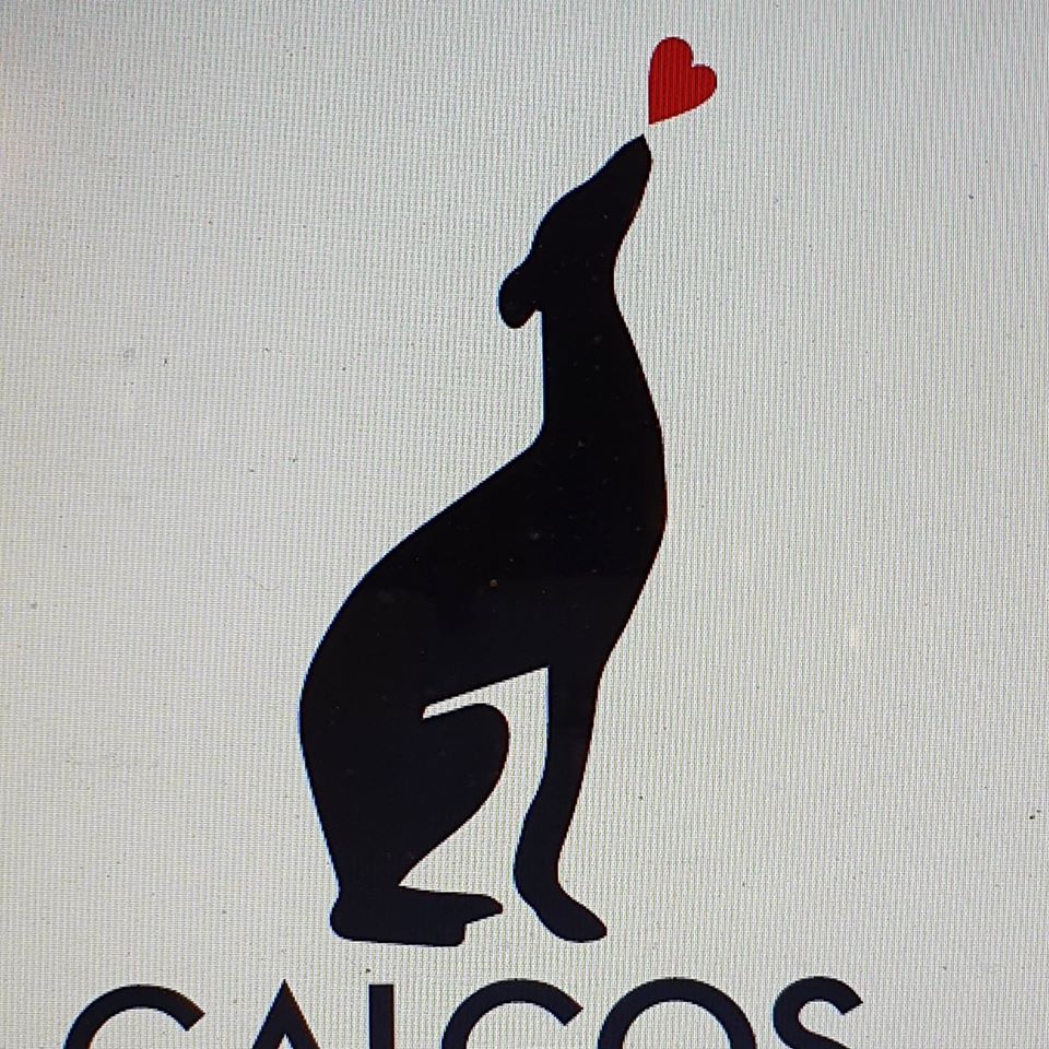 GALGOS CHARITY