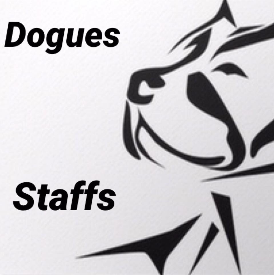 Dogues & staffs