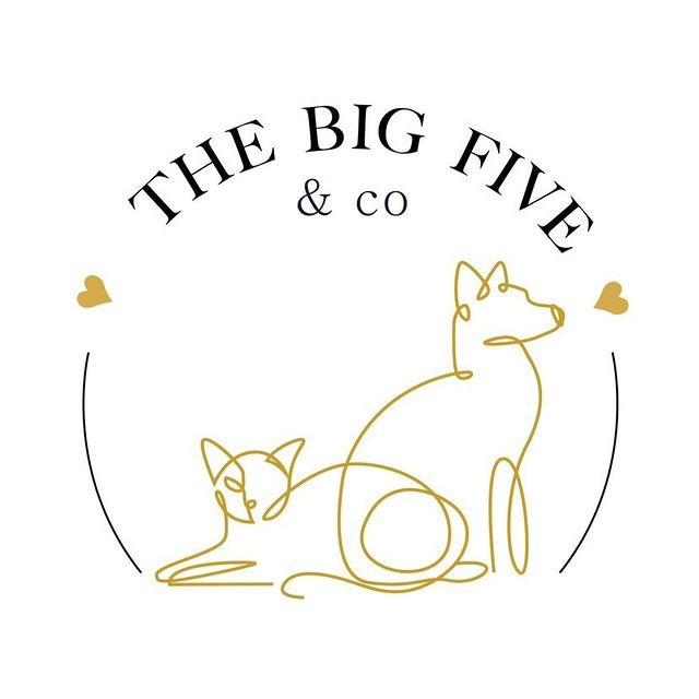 The Big Five & Co