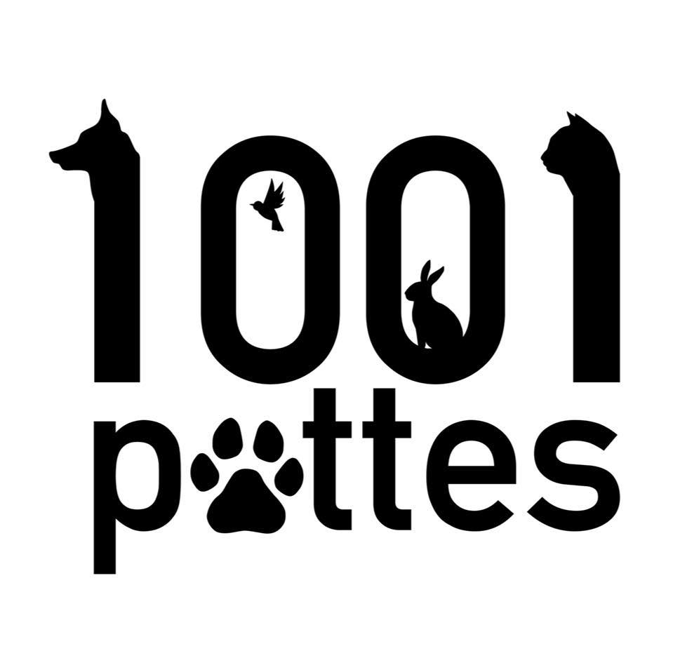 1001 Pattes