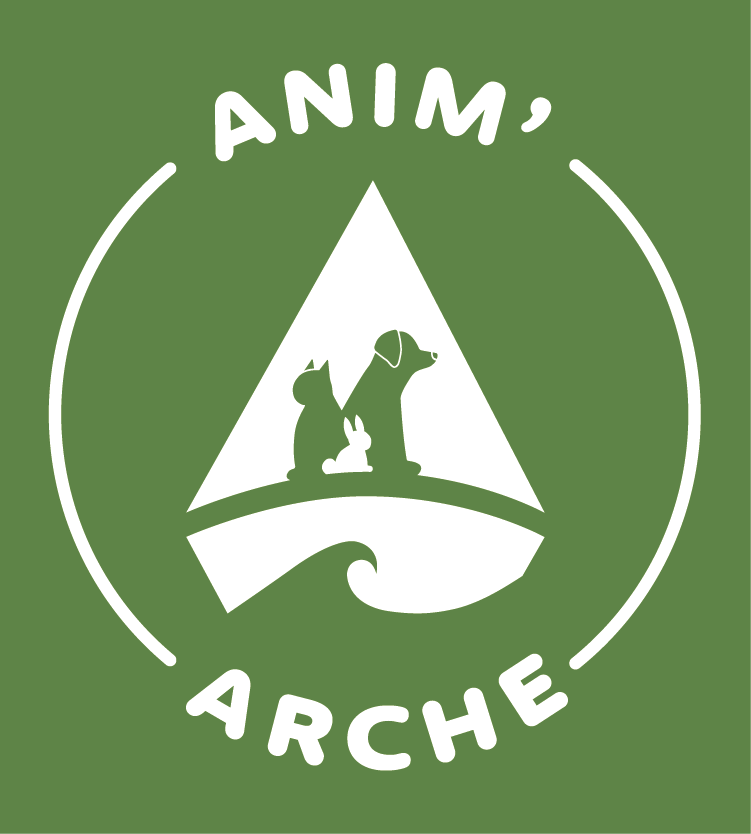 Anim'arche